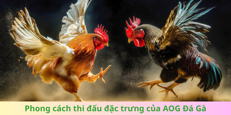 Các phong cách thi đấu đặc trưng trong AOG Đá Gà