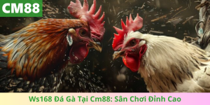 Ws168 Đá Gà Tại Cm88